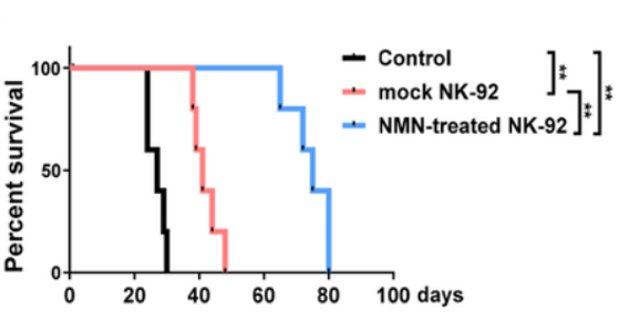 NMN Enhances Immunotherapy and Prolongs Survival